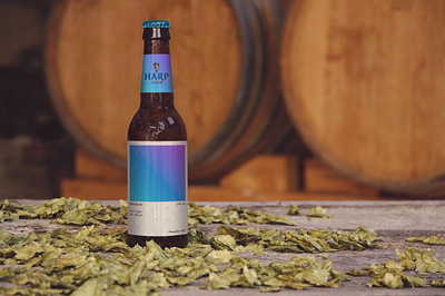 Harp beer redesign beer beer art beer branding beer can beer label brand design design minimal package package design packaging design print design
