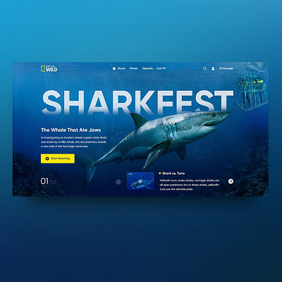 Concept for website "NAT GEO WILD" landingpage national geographic nature sharkweek ui ux uxui webdesign