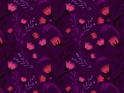 pattern cardos botanical floral illustration pattern