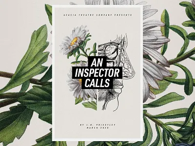 An Inspector Calls anatomical botanical illustration daisies eye flowers poster theatre