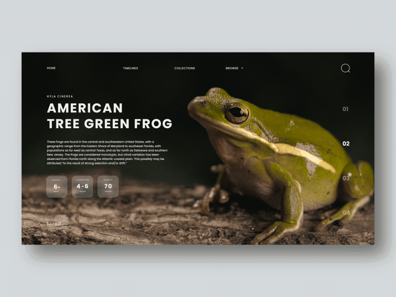 Nature Encyclopedia app branding design ui ui design ux web web design landing page website