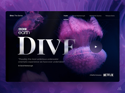 Dive Lander Concept branding clean design clean ui clean ui design design desktop interface minimalist photography typography ui ux ux design visual design website