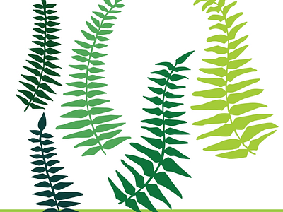 Silhouette Illustration fern silhouette illustration vector drawing