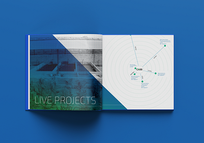 CASS Brochure - Live Project Section black blue blue and white book book design brochure brochure design brochure layout brochure mockup brochure template design graphic graphicdesign green infographic information information design report typogaphy