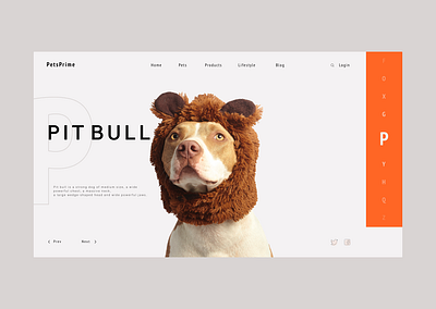 Pet animation app blog brand design dog dribbble home homepage illustration logo logotype pet pets pitbull sketch ui ux vector web