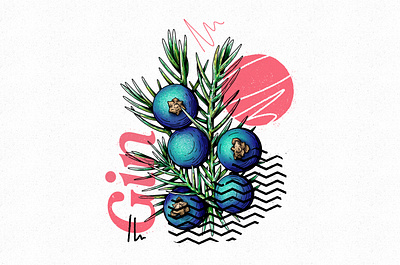 Juniper design gin illustration juniper procreate texture typography