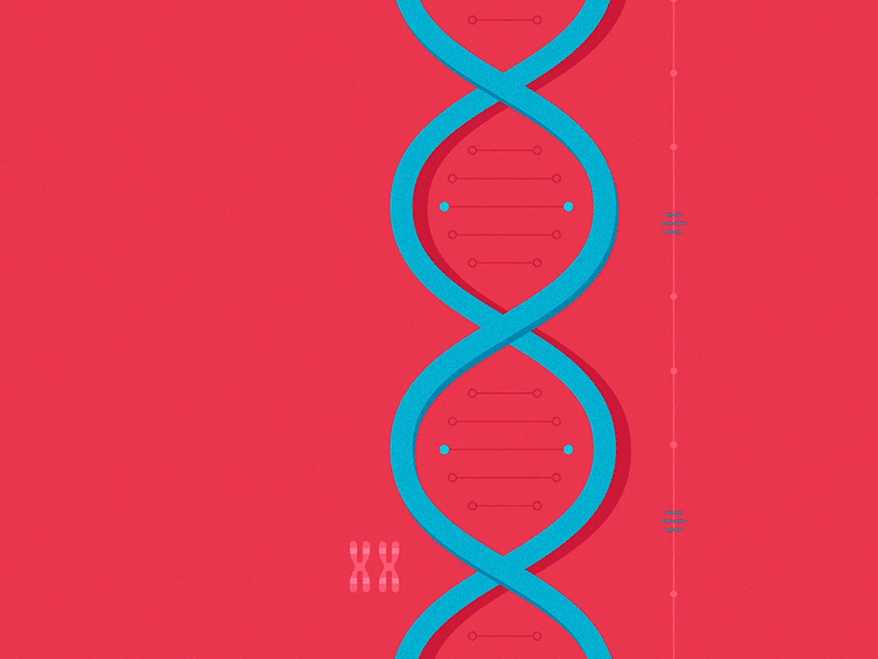 HCor 2d animation art direction health medical medicine motion