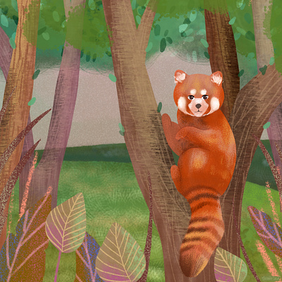 Red Panda childrens book childrens book illustration childrens illustration digital art drawing illustration photoshop art procreate