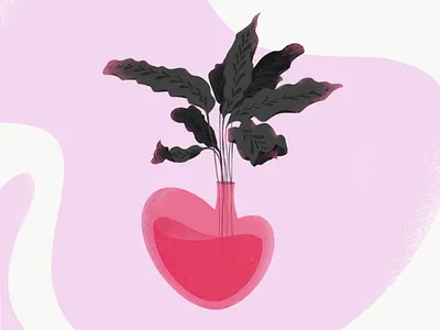 Rattle snake plant blob calathea illustration pink plants plants rattlesnake plant shapes snake plant
