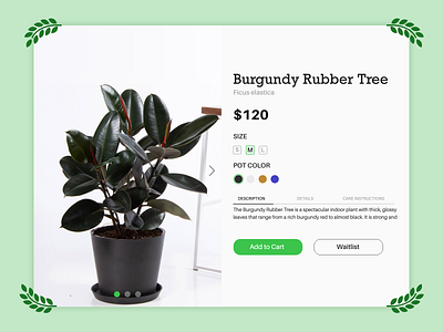Daily UI #012 Single Product adobe xd app design detail page plants product page ui ui design ux ux design