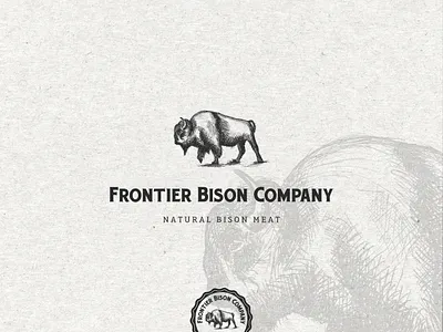 American Bison logo adobe illustrator adobe photoshop sketch