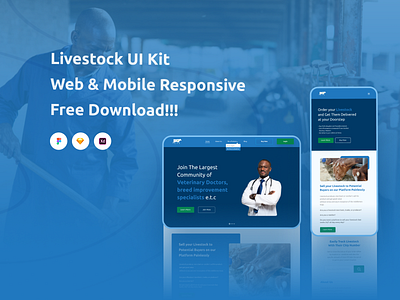 Freebie UI Kit figma free download freebie sketch ui ux ui kit uiux design uiuxdesigner xd