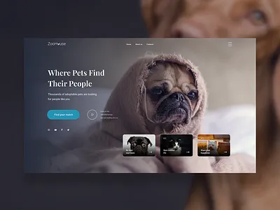 Landing page for animal shelter art branding design typography ui ux web webdesign webdevelopment
