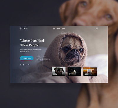 Landing page for animal shelter art branding design typography ui ux web webdesign webdevelopment