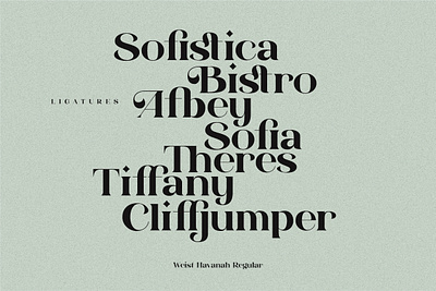 Weist Havanah - Modern Serif branding chic contemporary creative market design display font fashion font font design logo logo design type design typeface typography