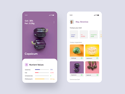 Nutrition Planner Application apple creative food food app health app healthy nutrients nutrition ui vegetable
