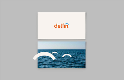 Delfín Visual identity brand identity branding design graphicdesign isologo logo marca typography visualdesign