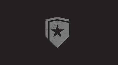 Grey Shield Logo logo logo design shield star