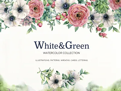 White&Green. Watercolor anemone set anemone berries branch design eucalyptus floral florist flower illustrations leaves lettering pattern plant ranunculus rose succulent watercolor watercolor art watercolor illustration wreath