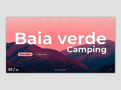 Camping design landing page typography ui ux website