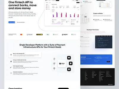Dapi website built in Webflow branding ui webflow website