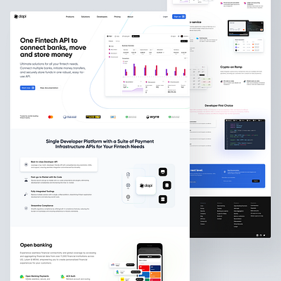 Dapi website built in Webflow branding ui webflow website