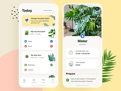 Plants App: Today Tasks app app design cards design flourish flower garden growing growth guide ios plant plant app plants task typography ui user experience user interface ux