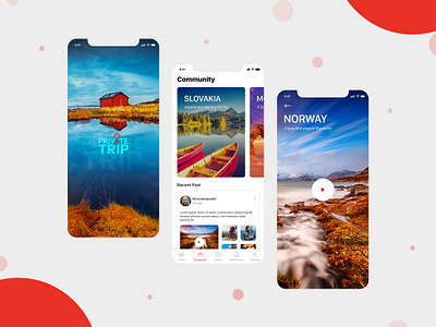 Private Trip App community design design concept mobile app mobile app design mobile application design tourism travel trip ui ui ux design ui concept ux design ux ui design