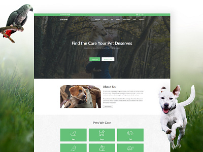 Pet Care Website Template ads ai charity green illustration landing pet portfolio shop template template builder template design ux web web design weblium website website builder