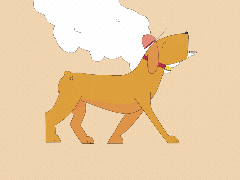 Smokey adobe animate cell dog frame frame by frame hand drawn walk walk cycle