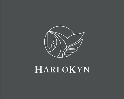 HarloKyn Logo Design brand design branding branding design finance illustration logo vector