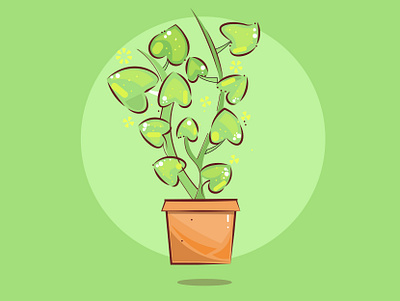 peperomia plant art design flat graphics design icon illustration illustrator logo typography vector