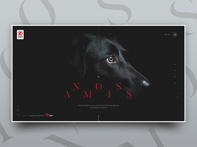 Nos amis animal black dark dog flat homepage minimal red responsive simple site typography ui ux webdesign website