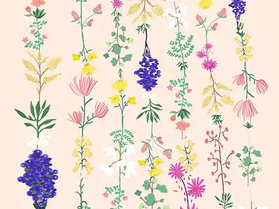 flower illustration art art design drawing floral design flower illustraion illustration art pattern procreateapp