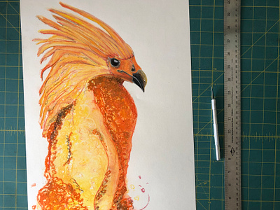 Rise As Phoenixes Do art bird birds branding charcoal colored charcoal drawing illustration illustration art oil pastels pastels phoenix phoenixes seeking gallery