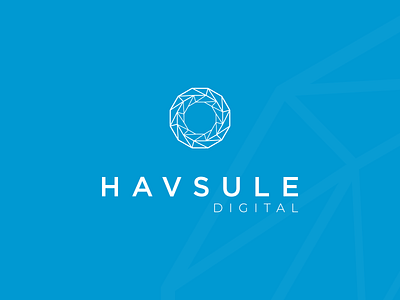 Havsule Digital abstract branding cyan design logo logodesign mark minimal modern nest tech