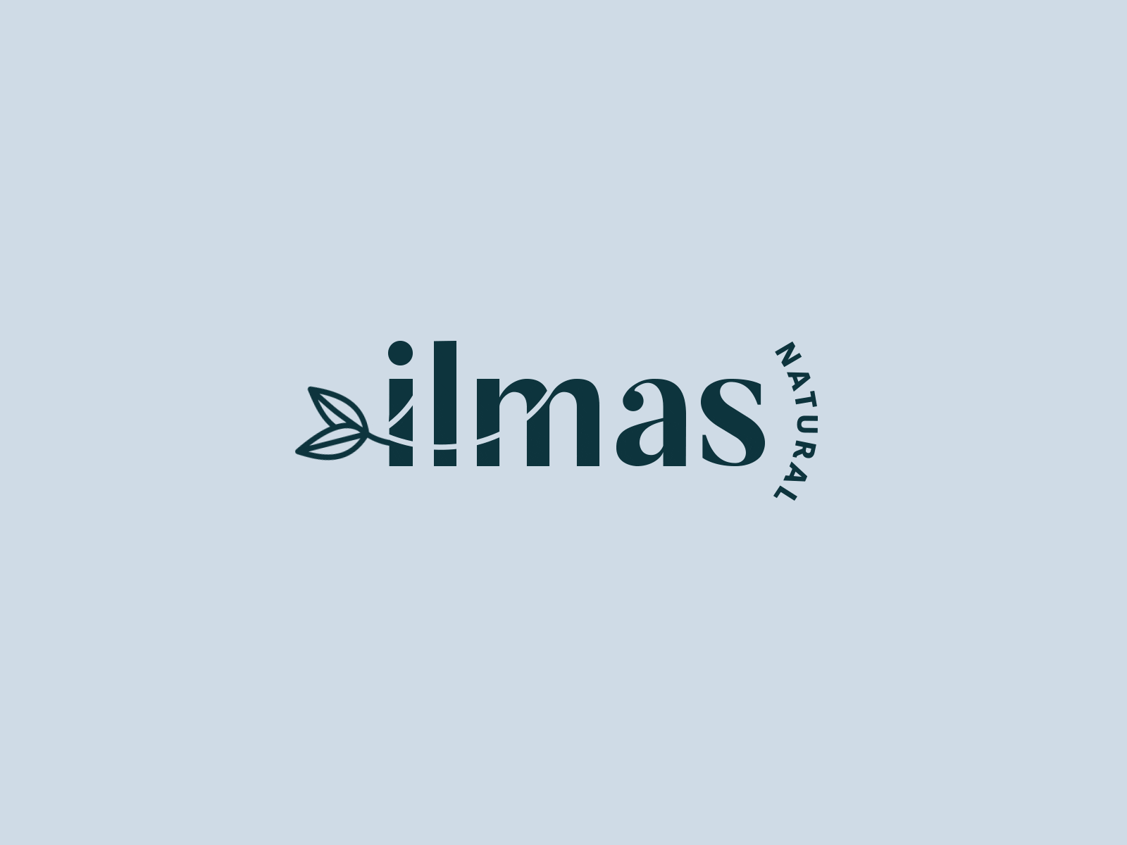 Ilmas natural beauty logo branding branding and identity cosmetic logo cosmetics ecommerce icon set icons logo logo design logotype natural cosmetics nature nature logo photography retouche photo shop social media social network visual identity