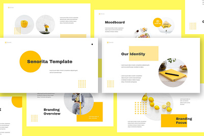 Senorita Brand Guideline Keynote blogging book brand branding brochure catalog fashion guide guidelines keynote manual mood board nude nuetral pitch deck powerpoint pptx presentation style visual style