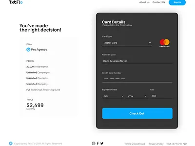 Promotional Website Checkout Page app application application ui branding design illustration texting texting ui ui vector