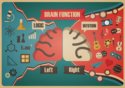 brain function anatomy background brain brainstorming concept creative education flat function genius idea illustration intution learn logic retro school technology thinking vector