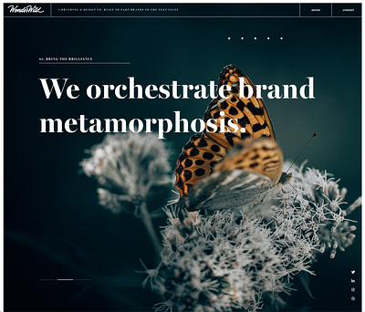 WonderWild Website agency website brand designer brand identity branding branding agency design studio digital branding hero lnk ui design visual design web design