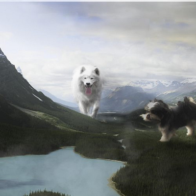 allan taborda odi7azumdlpfbrgd5pb2lj9z5949w4e2ilprszev7s