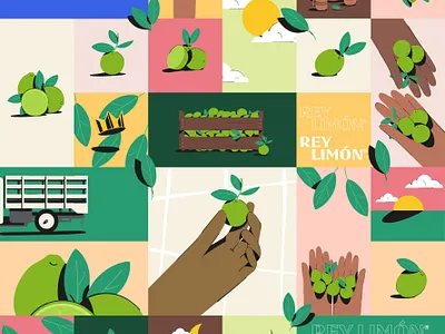 Rey Limon pattern brand branding design identity illustration logo logotype pattern stationery vector