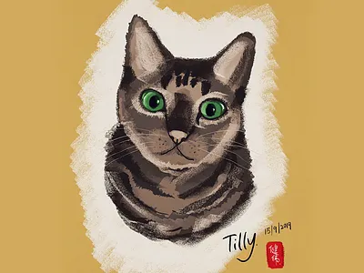 Digital Painting Cat apple pencil cat crayon digital painting illustration ipad linea sketch
