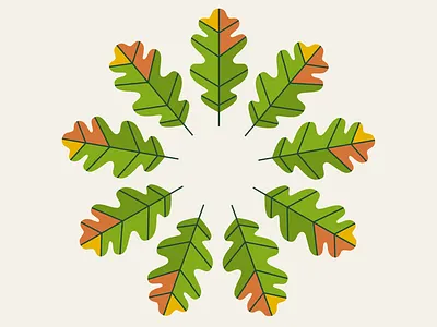 it’s oak! autumn colour fall illustration minimal oak simple tree vector wacom
