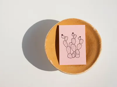 KUUN branding brussels cactus graphicdesign identity illustration mexico shadow store