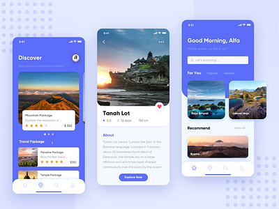 Trippy App - Travel Mobile Application app application application design application ui clean design exploration mobile mobile app mobile app design mobile design mobile ui product product design travel travel app trip ui uidesign user interface