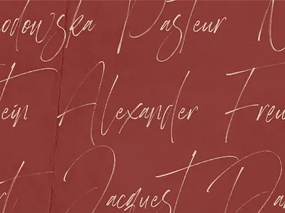 Heisenberg Rough Signature Font behance brand branding calligraphy calligraphy and lettering artist creativemarket dafont design font font collection lettering logo myfonts script signature typography