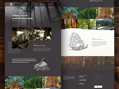 Specialist timber homepage brand identity branding homepage illustration interaction design layout timber typography ui user experience userinterface ux webdesign wood