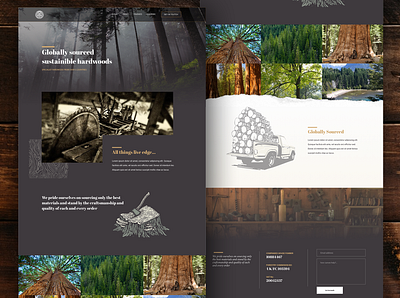 Specialist timber homepage brand identity branding homepage illustration interaction design layout timber typography ui user experience userinterface ux webdesign wood